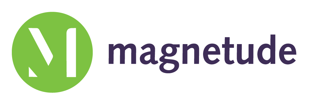 Magnetude Consulting